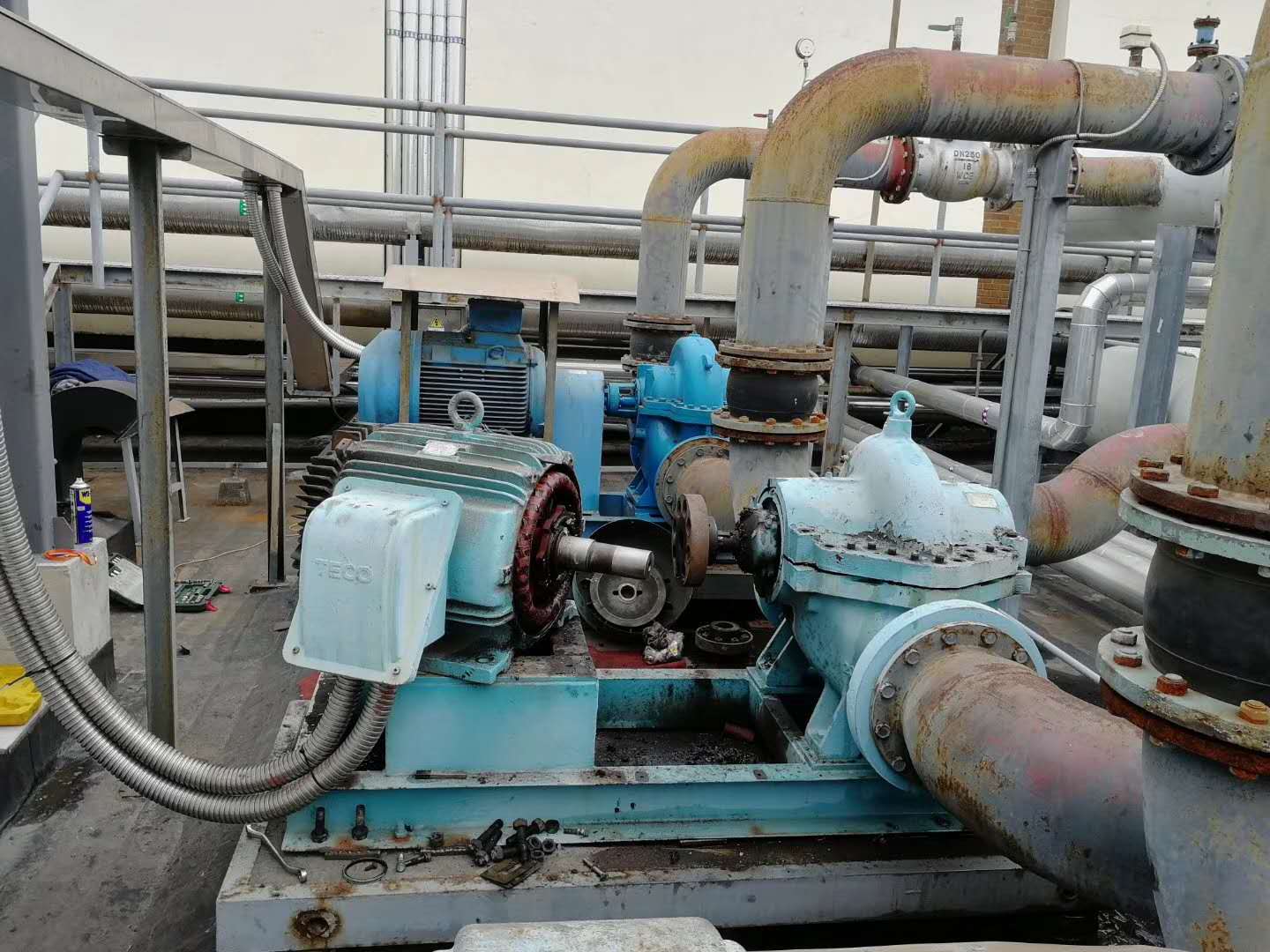 Sp